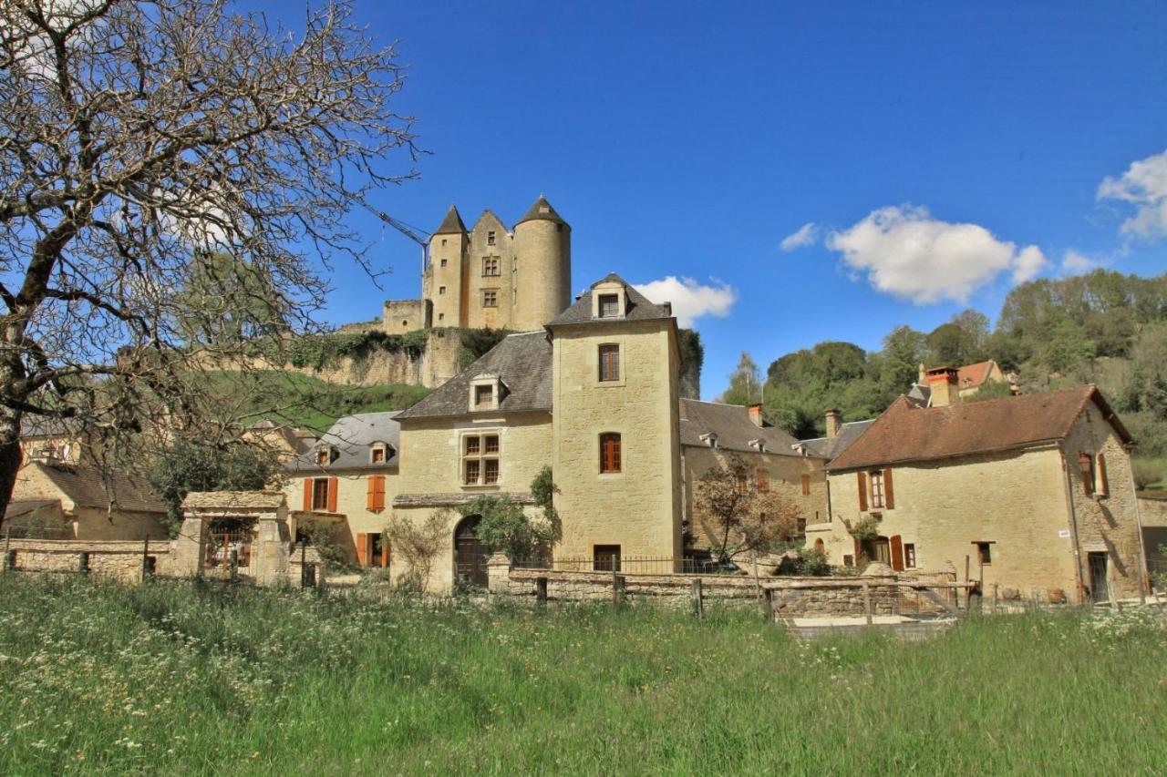 Petite Maison En Pierre Au Coeur Du Perigord Noir Salignac Eyvigues Kültér fotó