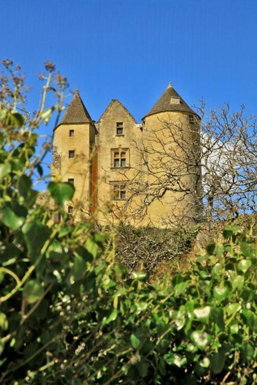 Petite Maison En Pierre Au Coeur Du Perigord Noir Salignac Eyvigues Kültér fotó