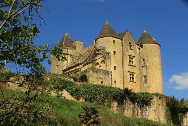 Petite Maison En Pierre Au Coeur Du Perigord Noir Salignac Eyvigues Kültér fotó