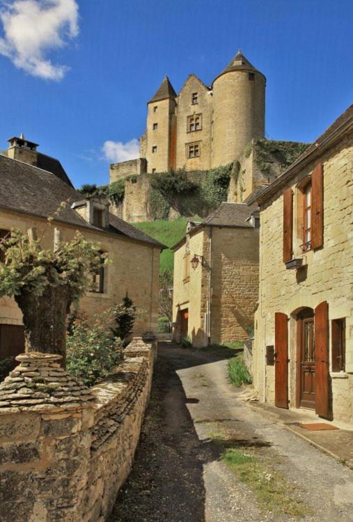 Petite Maison En Pierre Au Coeur Du Perigord Noir Salignac Eyvigues Kültér fotó