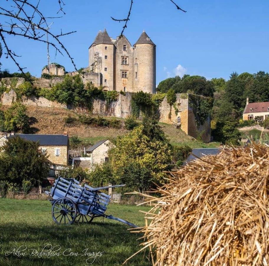 Petite Maison En Pierre Au Coeur Du Perigord Noir Salignac Eyvigues Kültér fotó